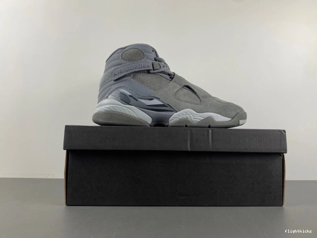 Retro Jordan 8 305381-014 Grey Cool 1016